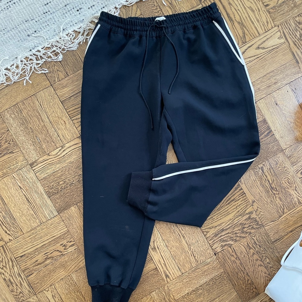 Aritzia Joggers